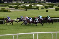 Cesta do Grand National, Velké národní steeplechase, vede přes řadu přípravných a kvalifikačních dostihů. Zdroj: Pixabay